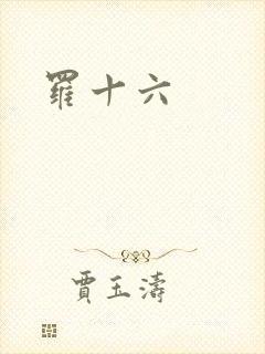 罗十六