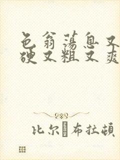 色翁荡息又大又硬又粗又爽