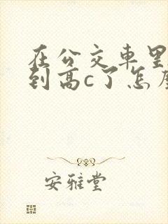 在公交车里c弄到高c了怎么办封面