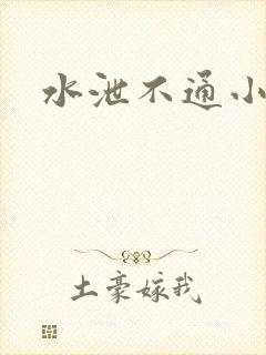 水泄不通小说