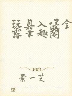 玩具入侵金银花露笔趣阁