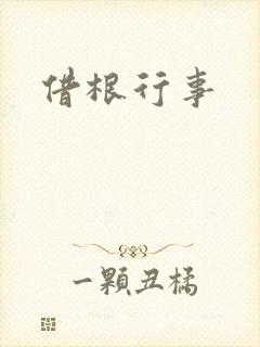 借根行事封面