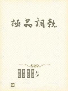极品调教