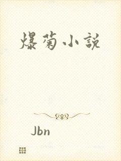 爆菊小说