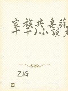 家族共妻苏苏(十千)小说免费封面