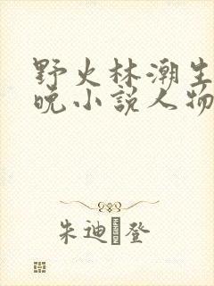 野火林潮生林晚晚小说人物野火封面