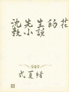 沈先生的花式管教小说