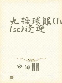 九号球服(1v1sc)逢迎