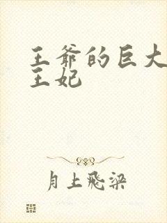 王爷的巨大进入王妃