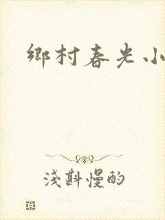 乡村春光小说