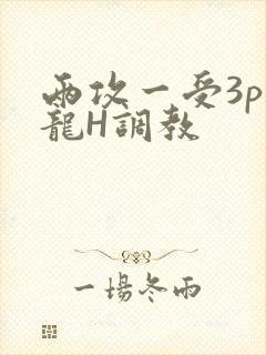 两攻一受3p双龙H调教