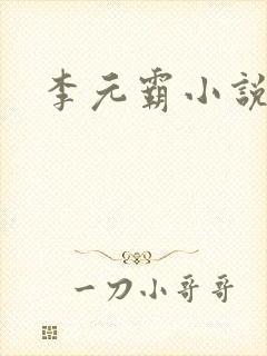 李元霸小说封面