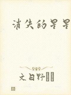 消失的星星封面