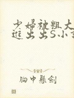 少妇被粗大猛进进出出S小说封面