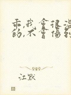 乖,我会很温柔的,不会伤到你小说封面