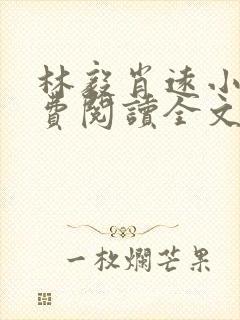 林毅肖远小说免费阅读全文最新章节封面