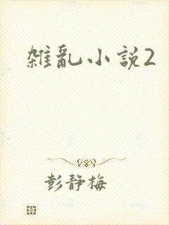 杂乱小说2