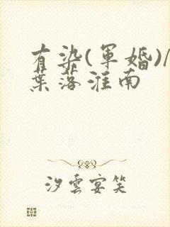 有染(军婚)/叶落淮南封面