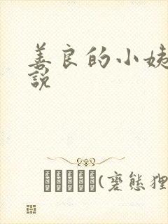 善良的小姨子小说