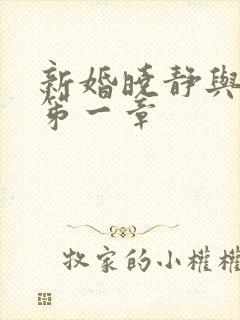 新婚晓静与翁公笫一章