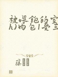 被喂饱的室友(h)肉包1受三攻