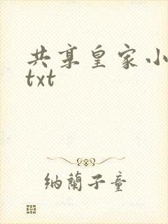 共享皇家小公主txt