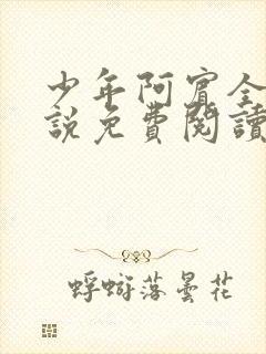 少年阿宾全文小说免费阅读笔趣阁