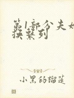 第1部分夫妇交换系列封面