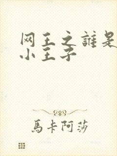 网王之谁是我的小王子封面