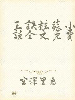 王铁柱苏小汐小说全文免费阅读最新章节