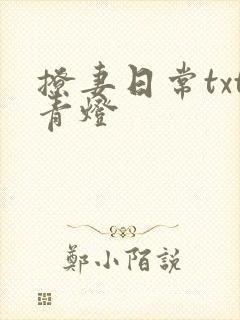 撩妻日常txt青灯