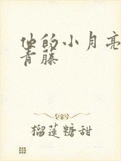 他的小月亮by青藤封面