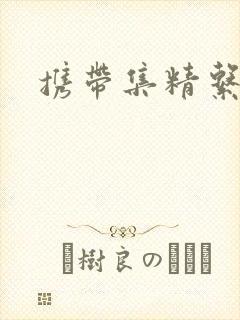 携带集精系统封面