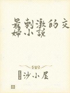 最刺激的交换夫妇小说