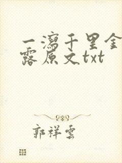 一泻千里金银花露原文txt封面