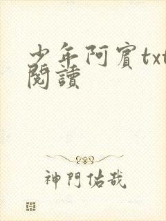 少年阿宾txt阅读