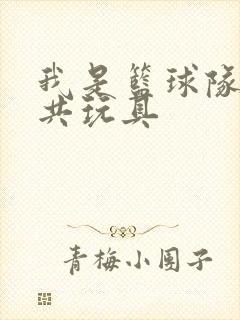 我是篮球队的公共玩具