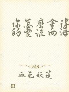 你怎么舍得让我的爱流向海