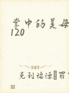 掌中的美母版主120