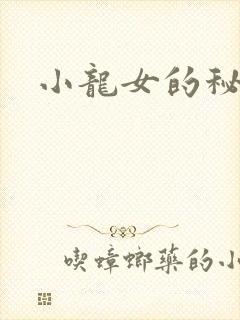 小龙女的秘密封面