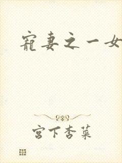 宠妻之一女二夫