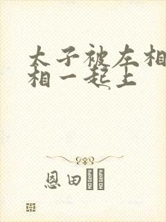 太子被左相和右相一起上