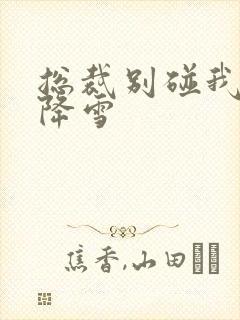 总裁别碰我 韩降雪