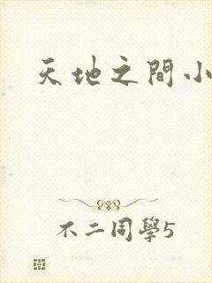 天地之间小说
