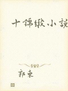 十锦缎小说