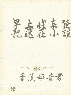 早上醒来发现巨龙还在小说