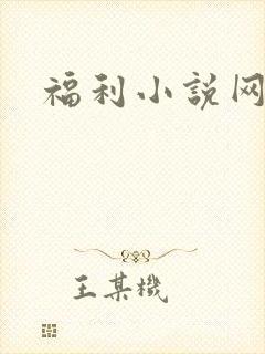 福利小说网封面