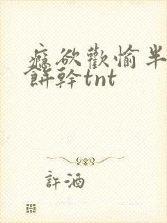 瘾欲欢愉半块小饼干tnt