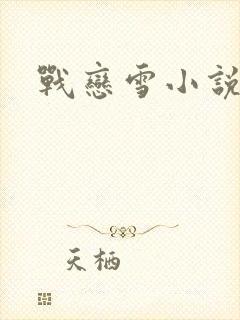 战恋雪小说