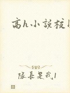 高h小说校园